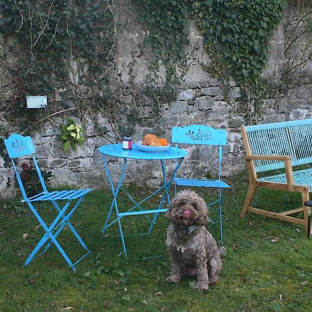 The Luxury Dartmoor Den, Dartmoor, Devon Apartment Ashburton Bagian luar foto