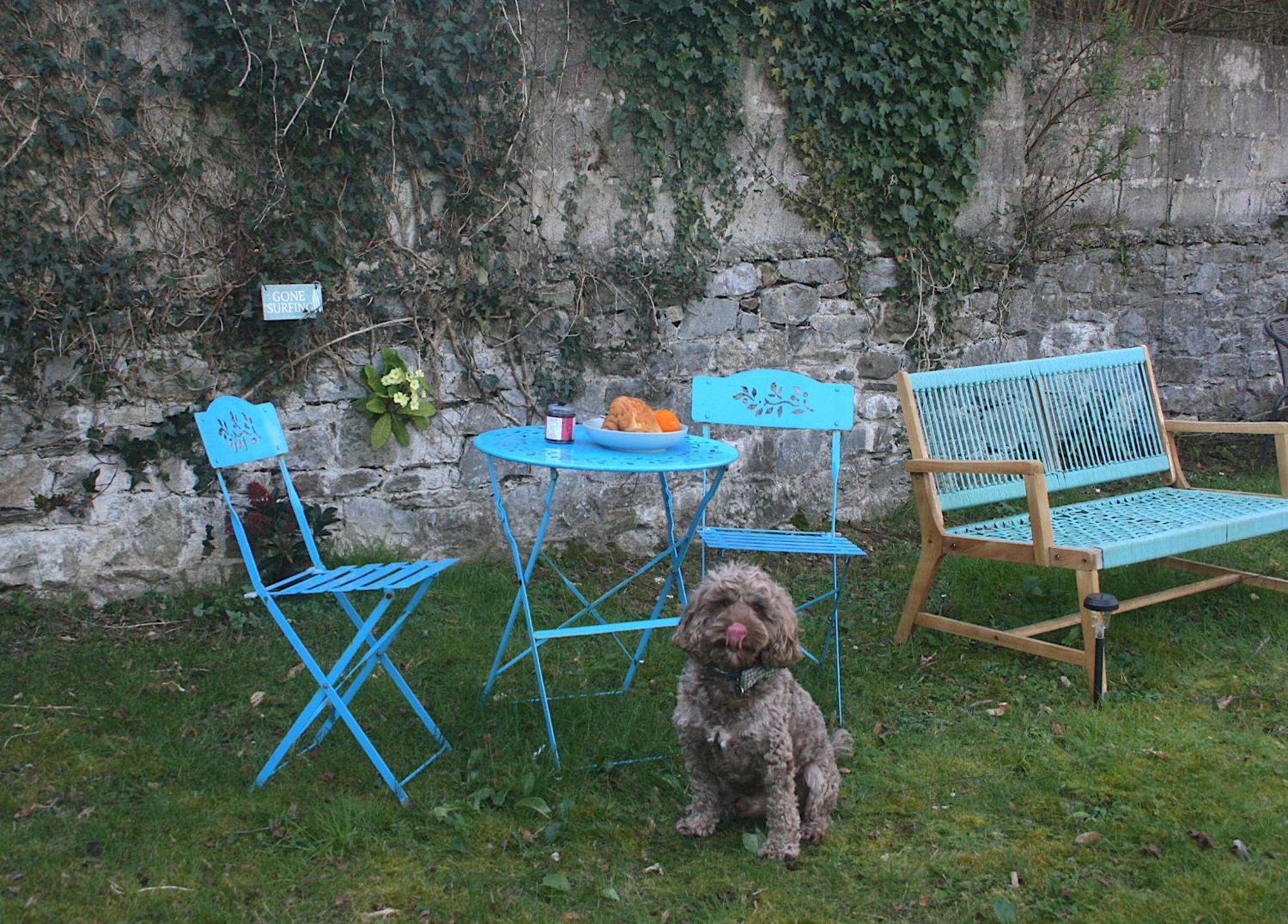 The Luxury Dartmoor Den, Dartmoor, Devon Apartment Ashburton Bagian luar foto